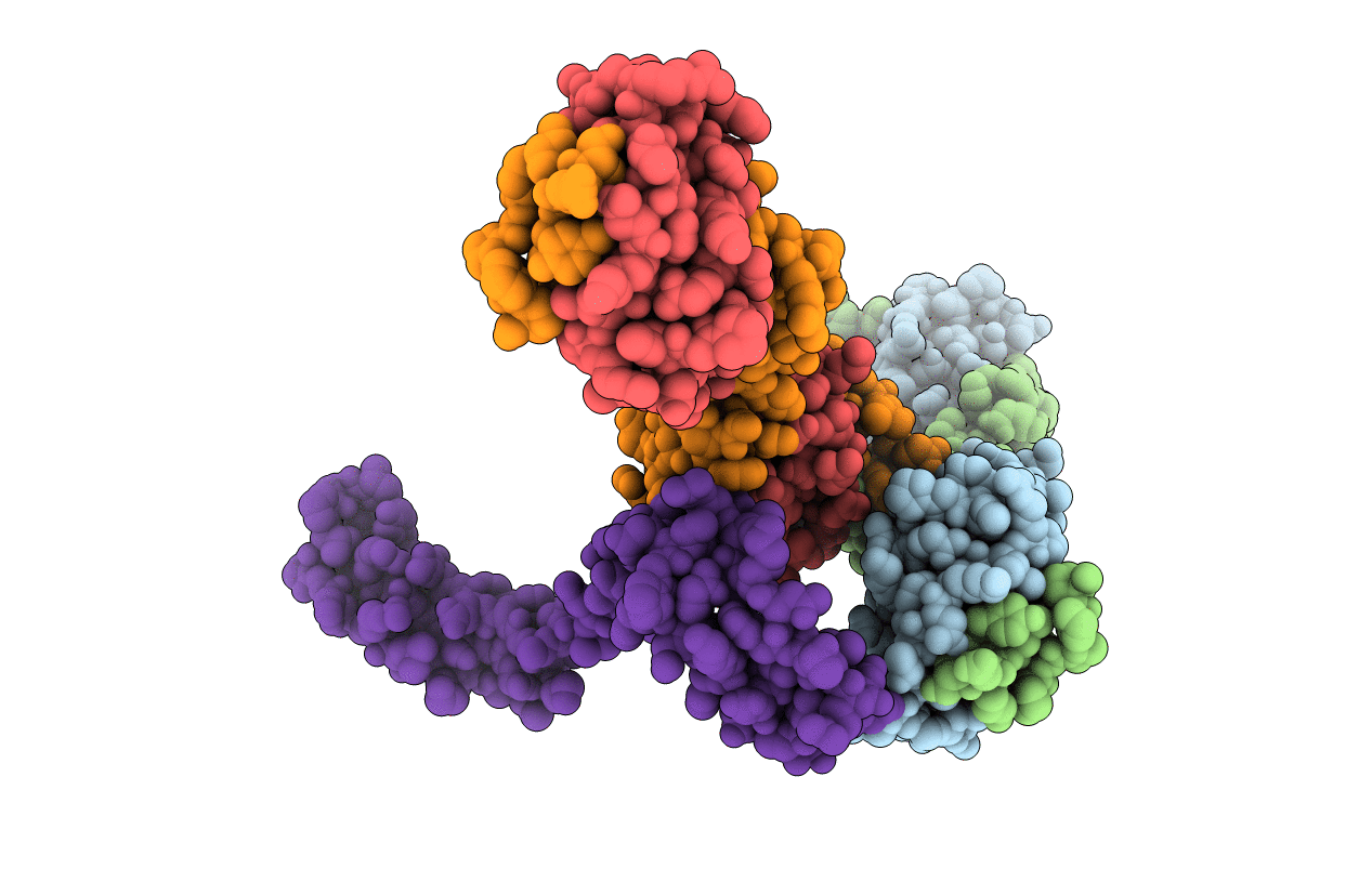 5YCU image