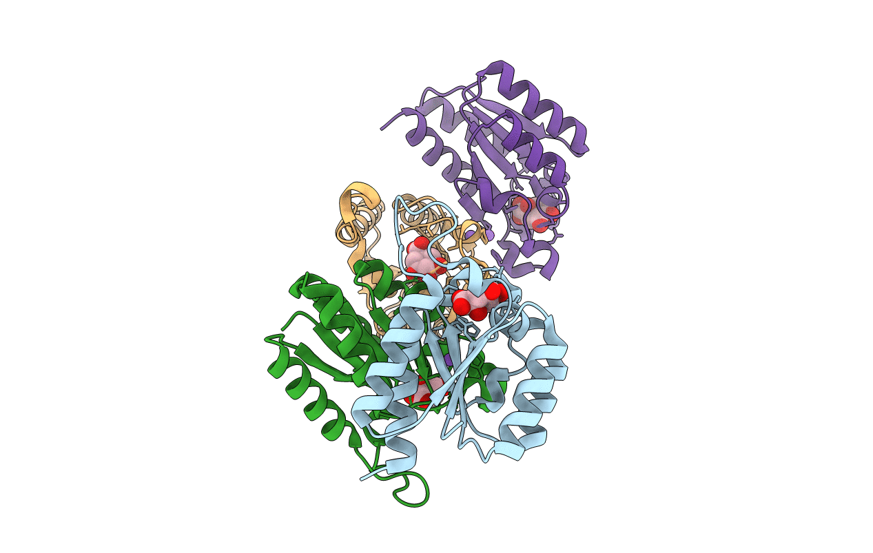 5YDB image