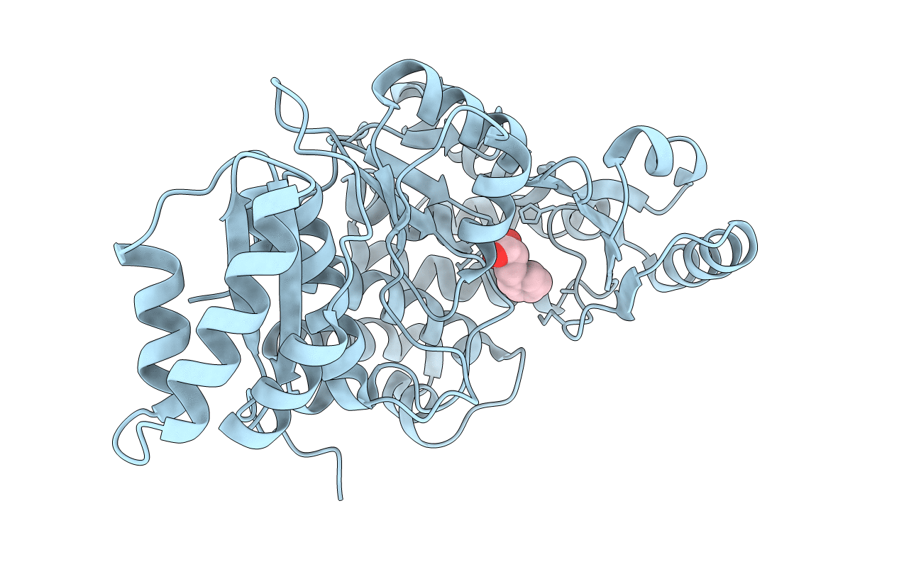 5YDM image