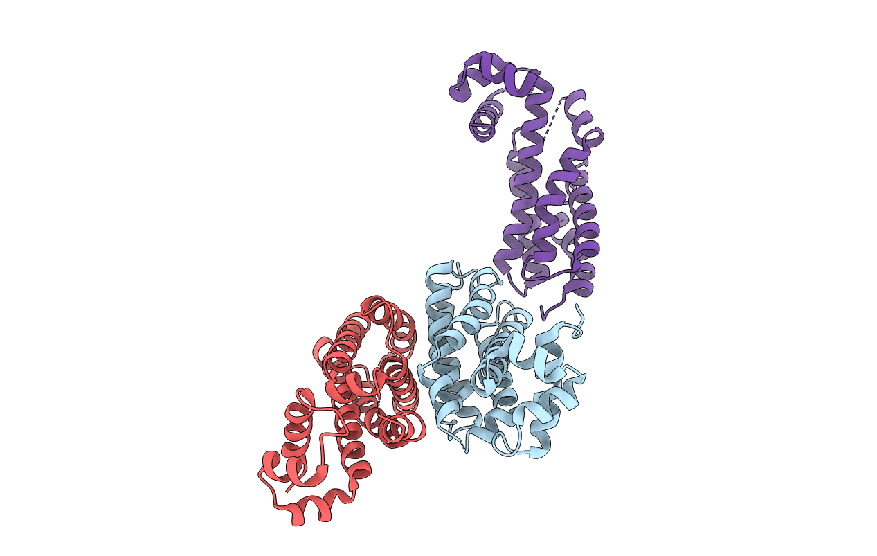 5YDP image