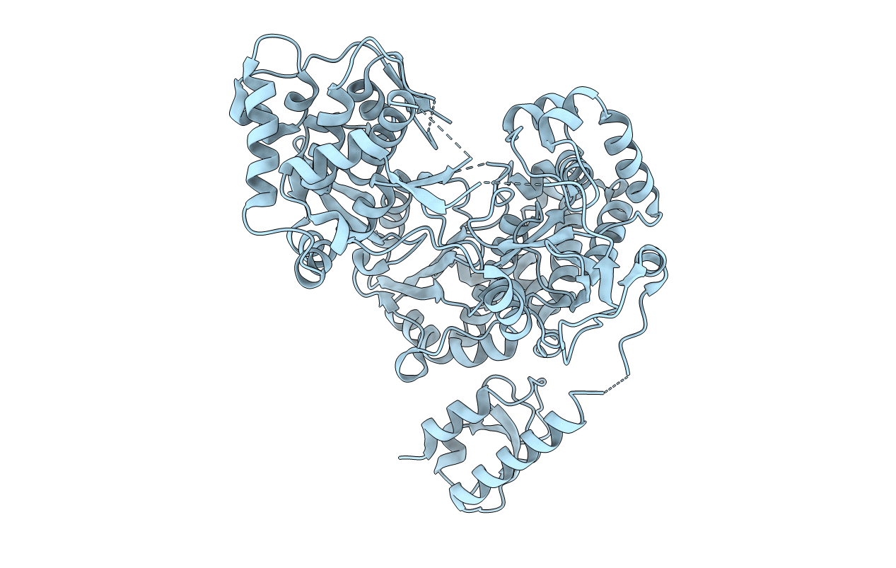5YF5 image