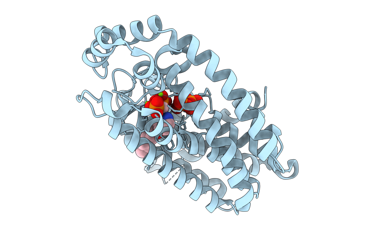 5YGI image