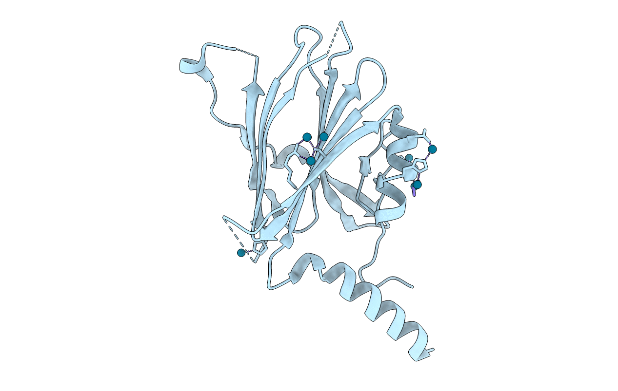 5YHB image