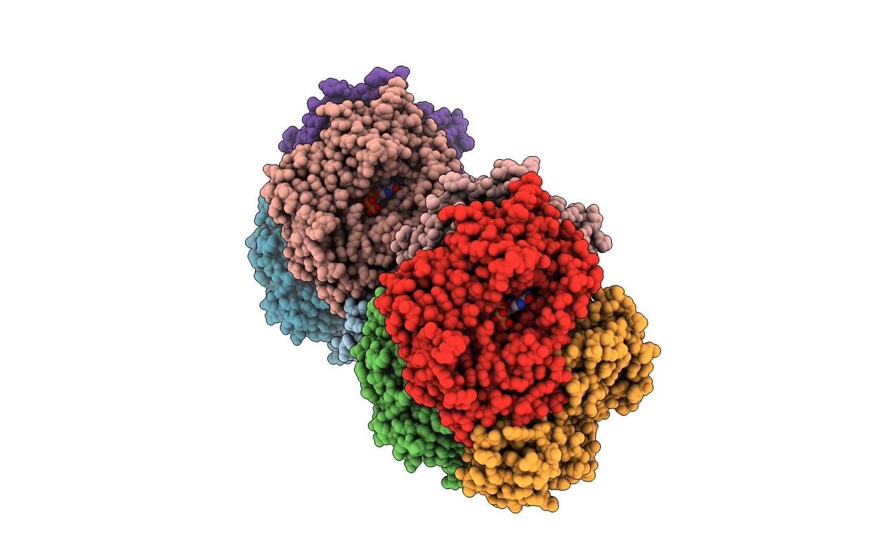 5YHW image