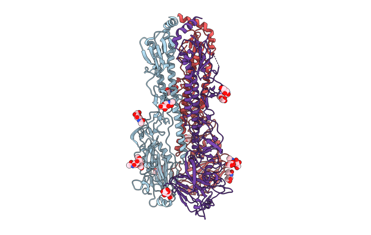 5YKC image