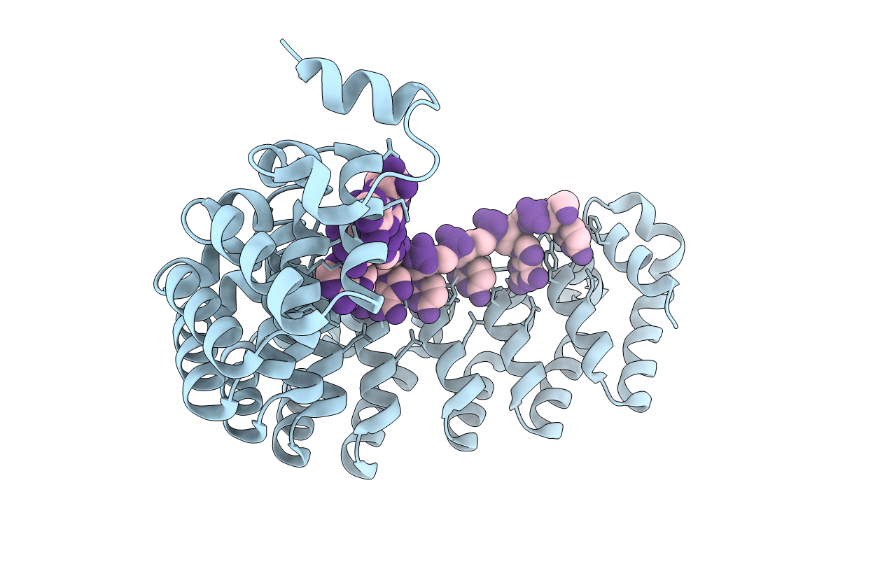 5YKI image