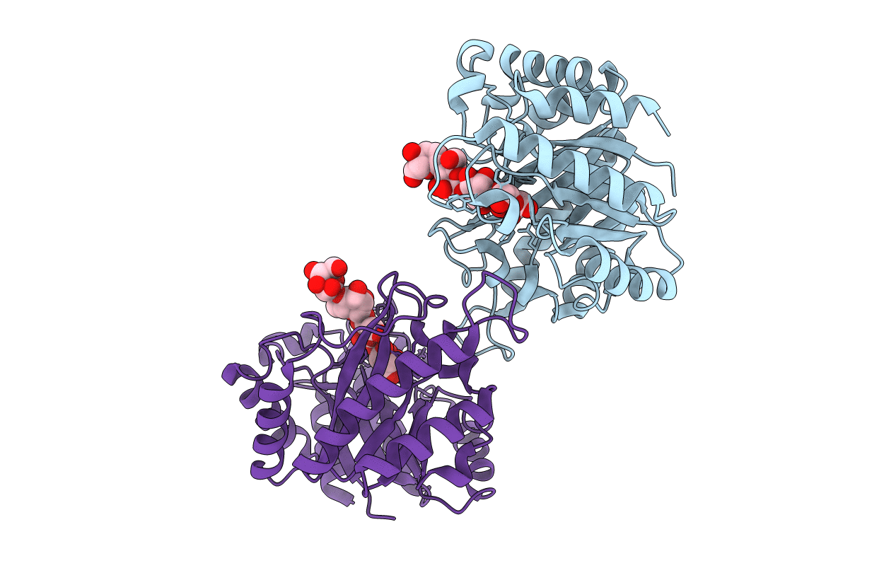5YLI image