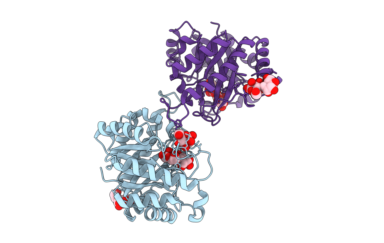 5YLK image