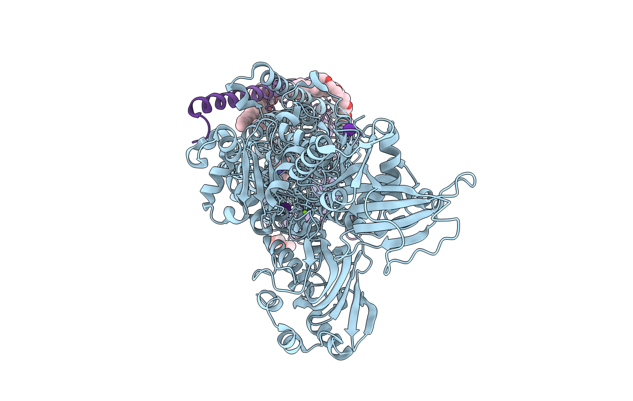 5YLV image