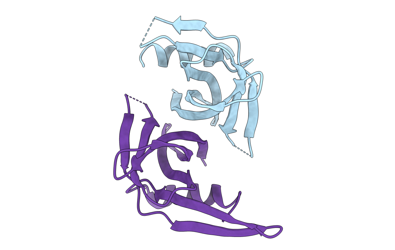 5YM8 image