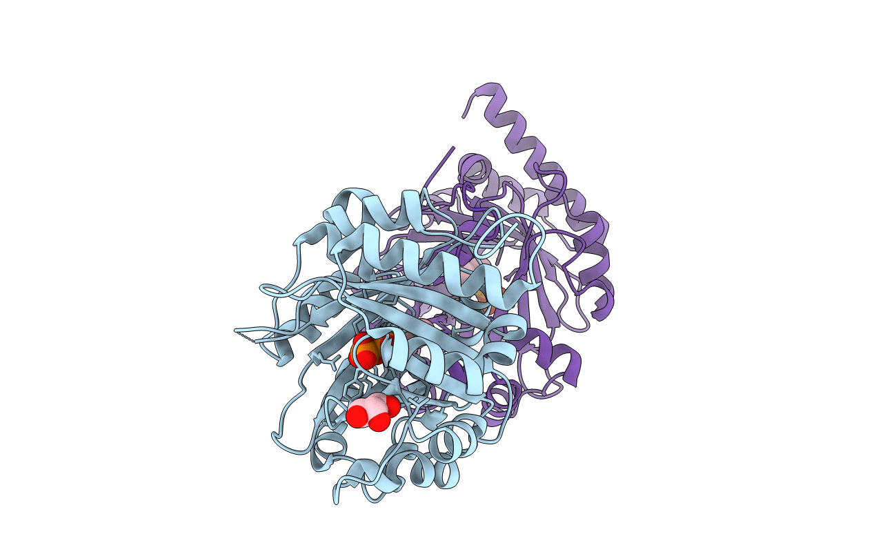 5YNV image