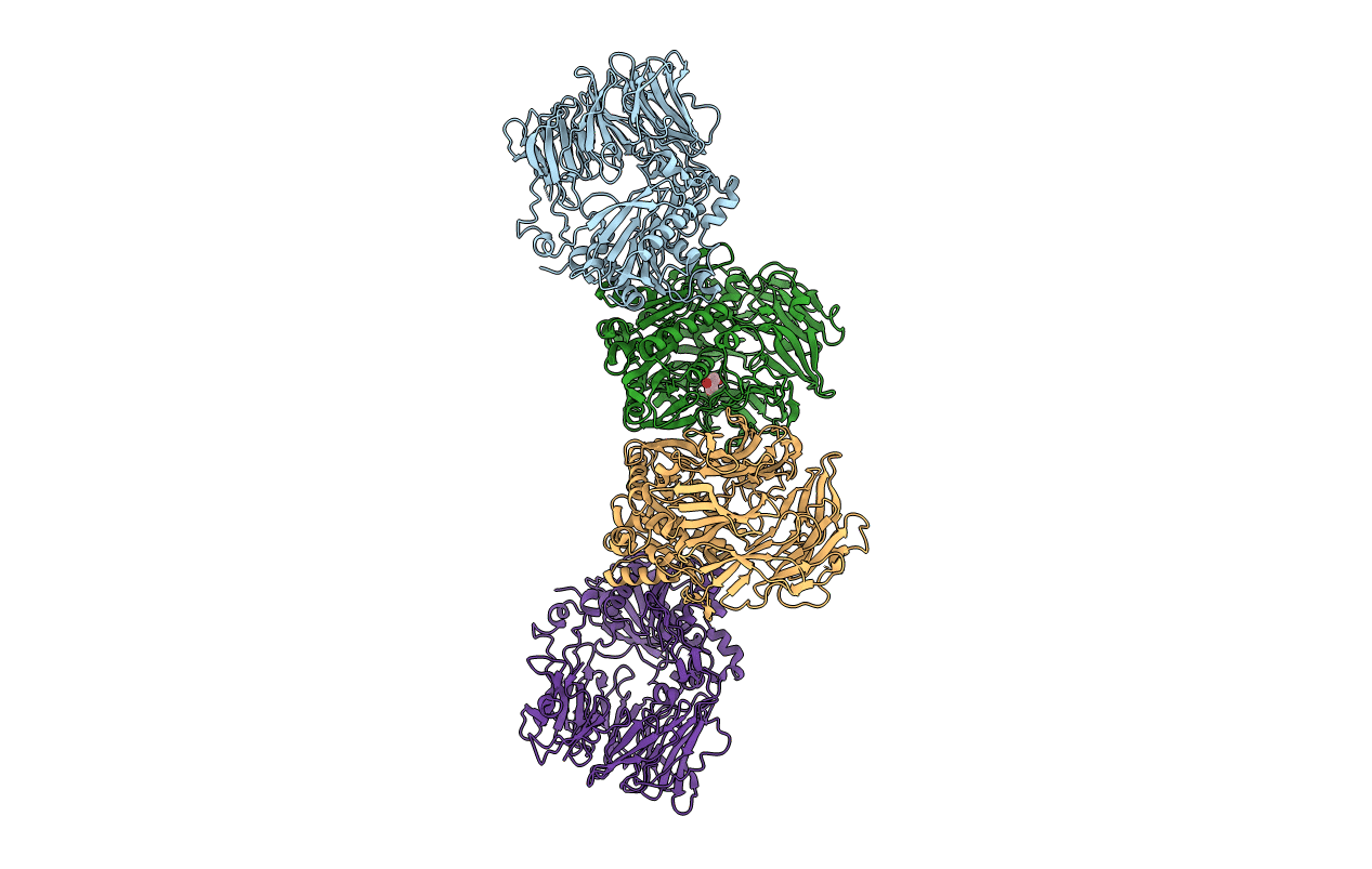 5YP1 image