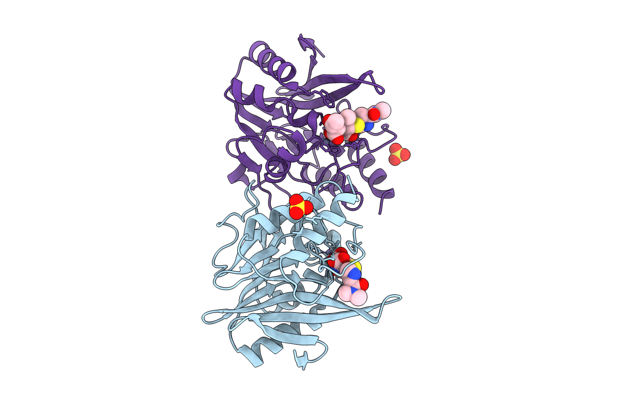 5YPN image