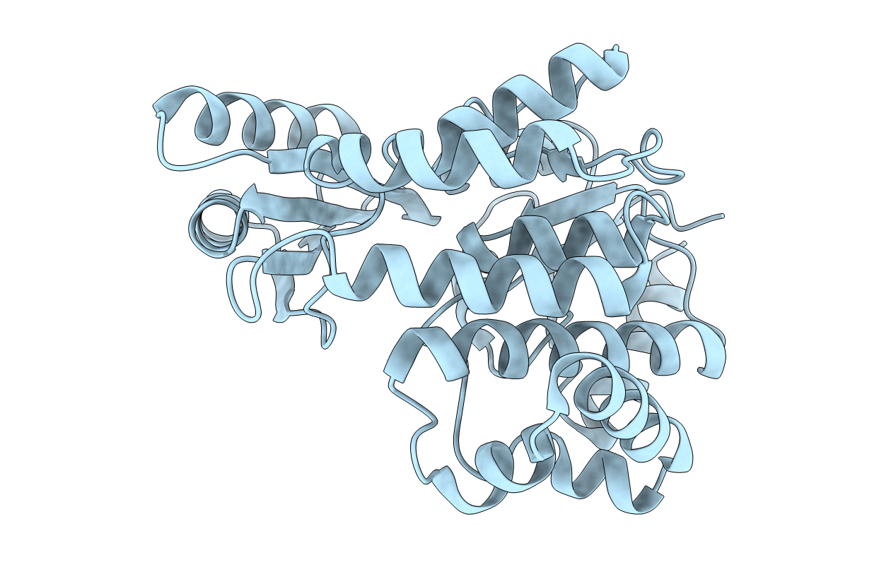 5YPV image