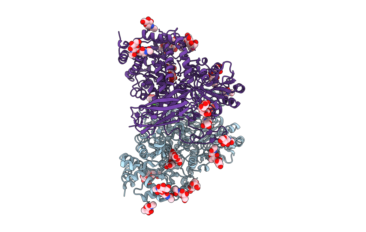 5YQS image