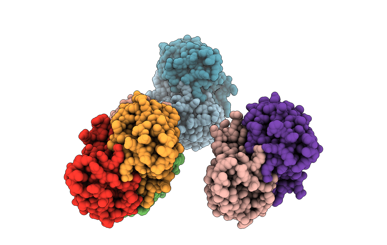 5YQT image