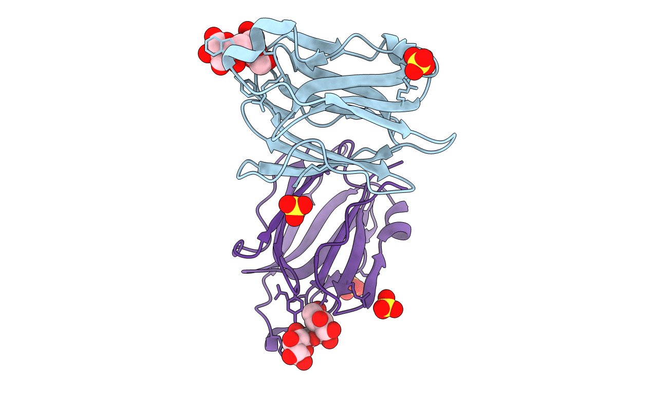 5YRG image