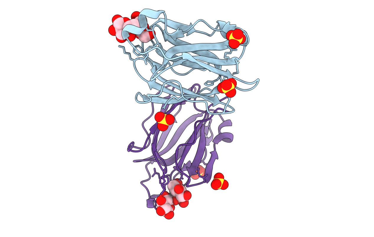 5YRJ image