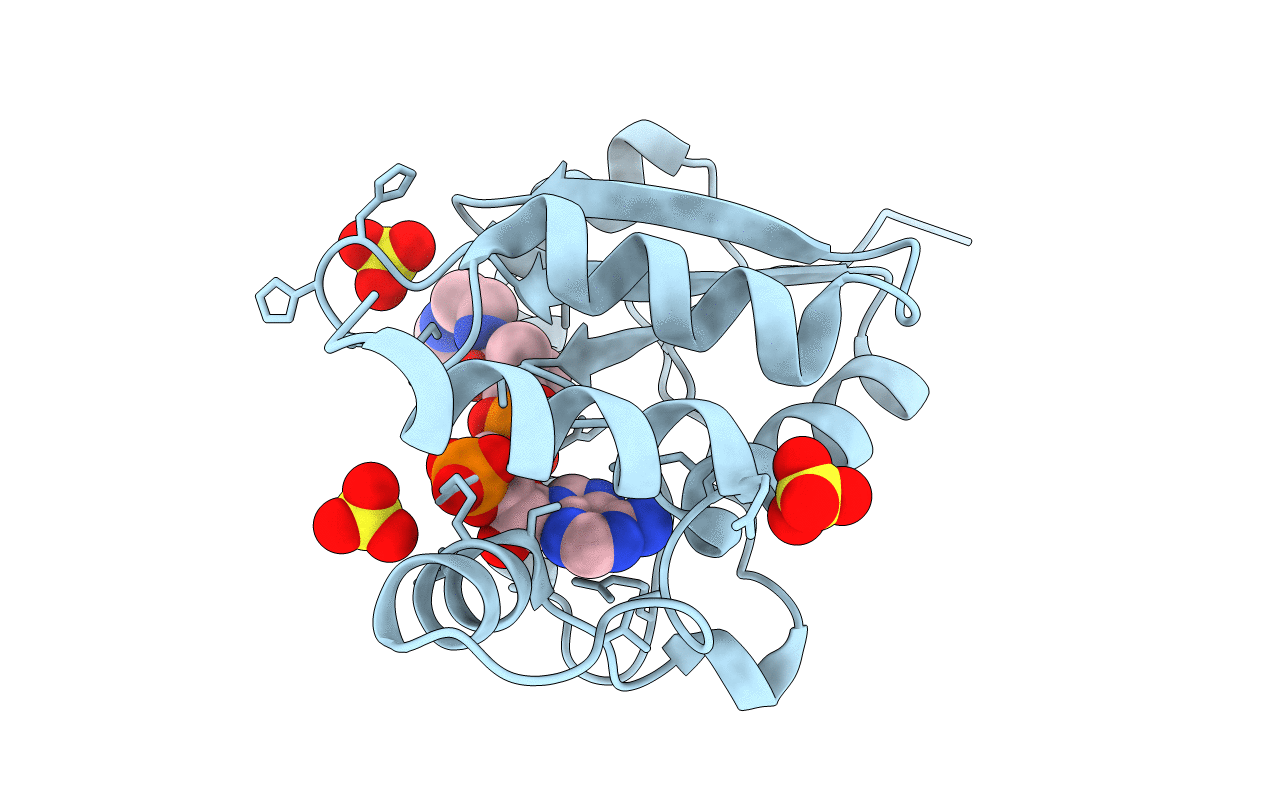 5YRR image