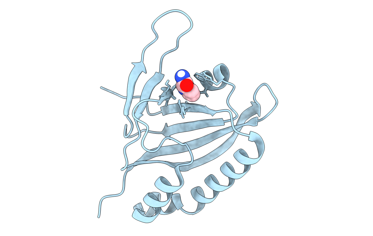 5YSI image