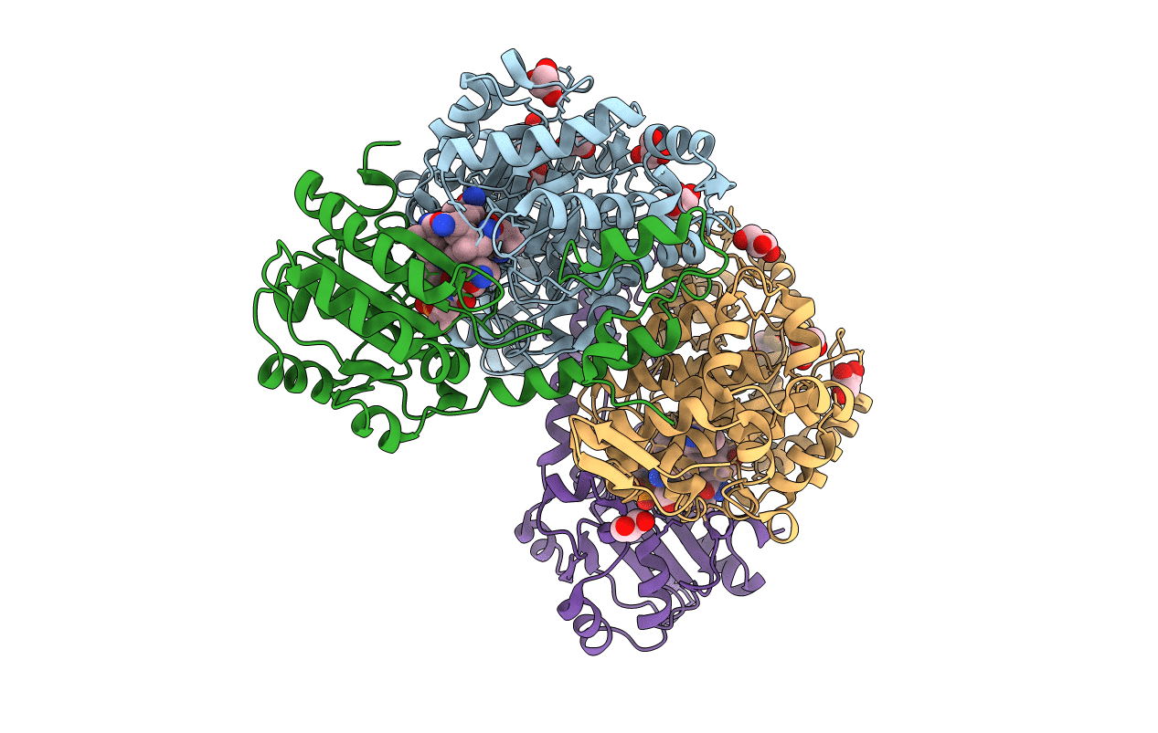 5YSR image
