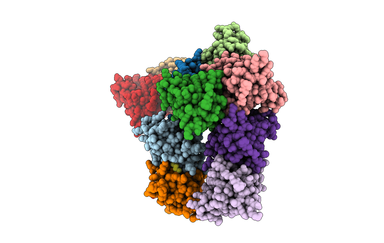 5YTU image