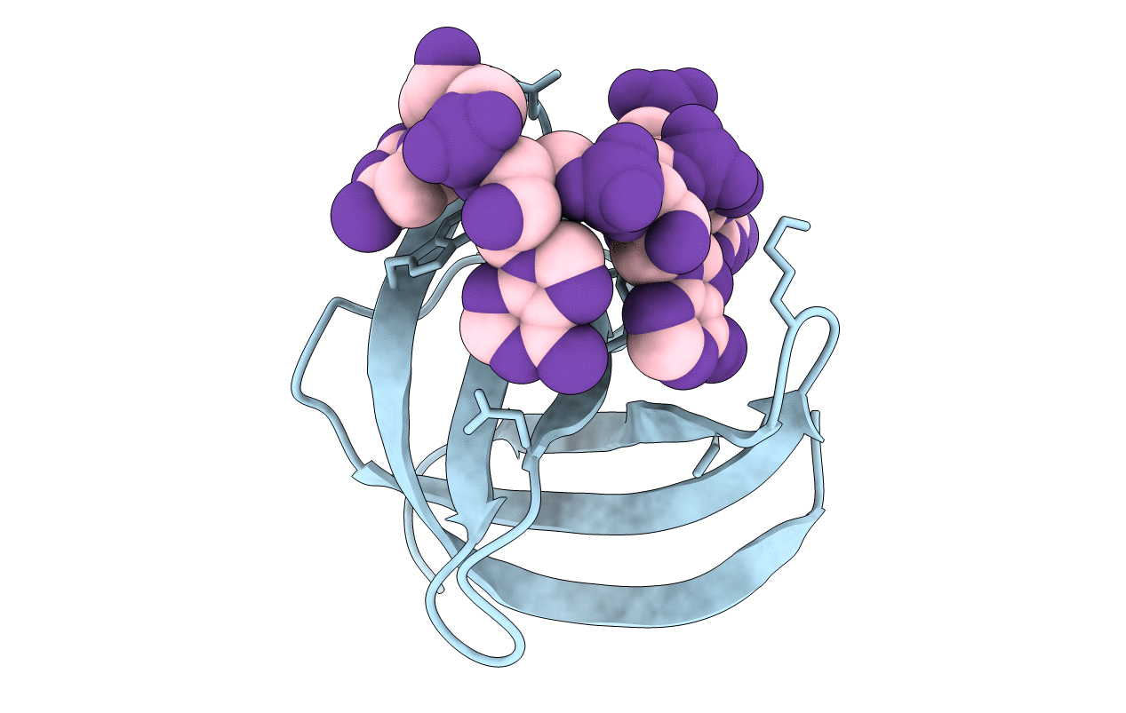 5YTX image