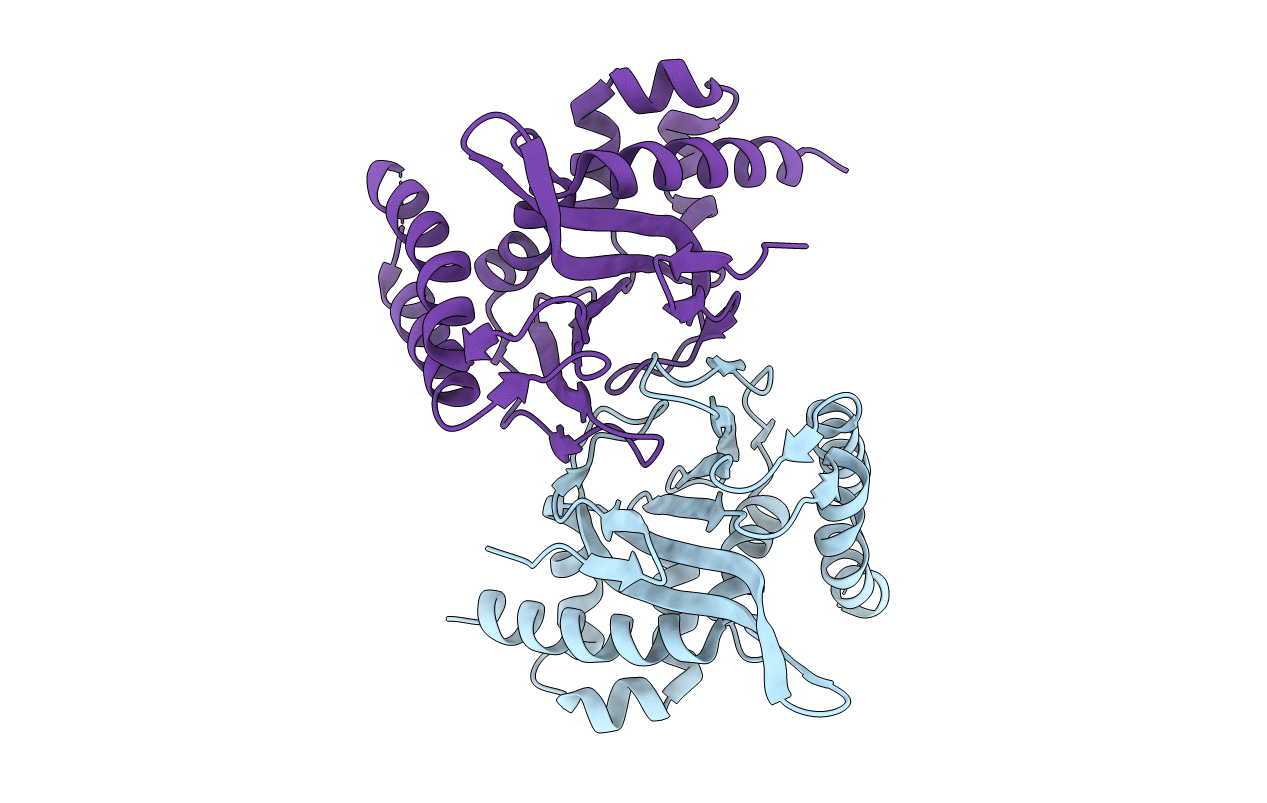 5YX3 image