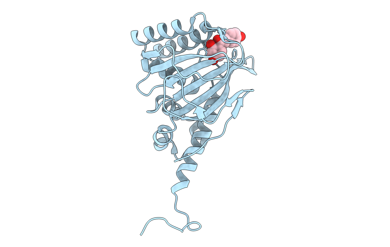 5YX4 image