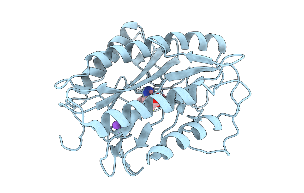 5YXF image