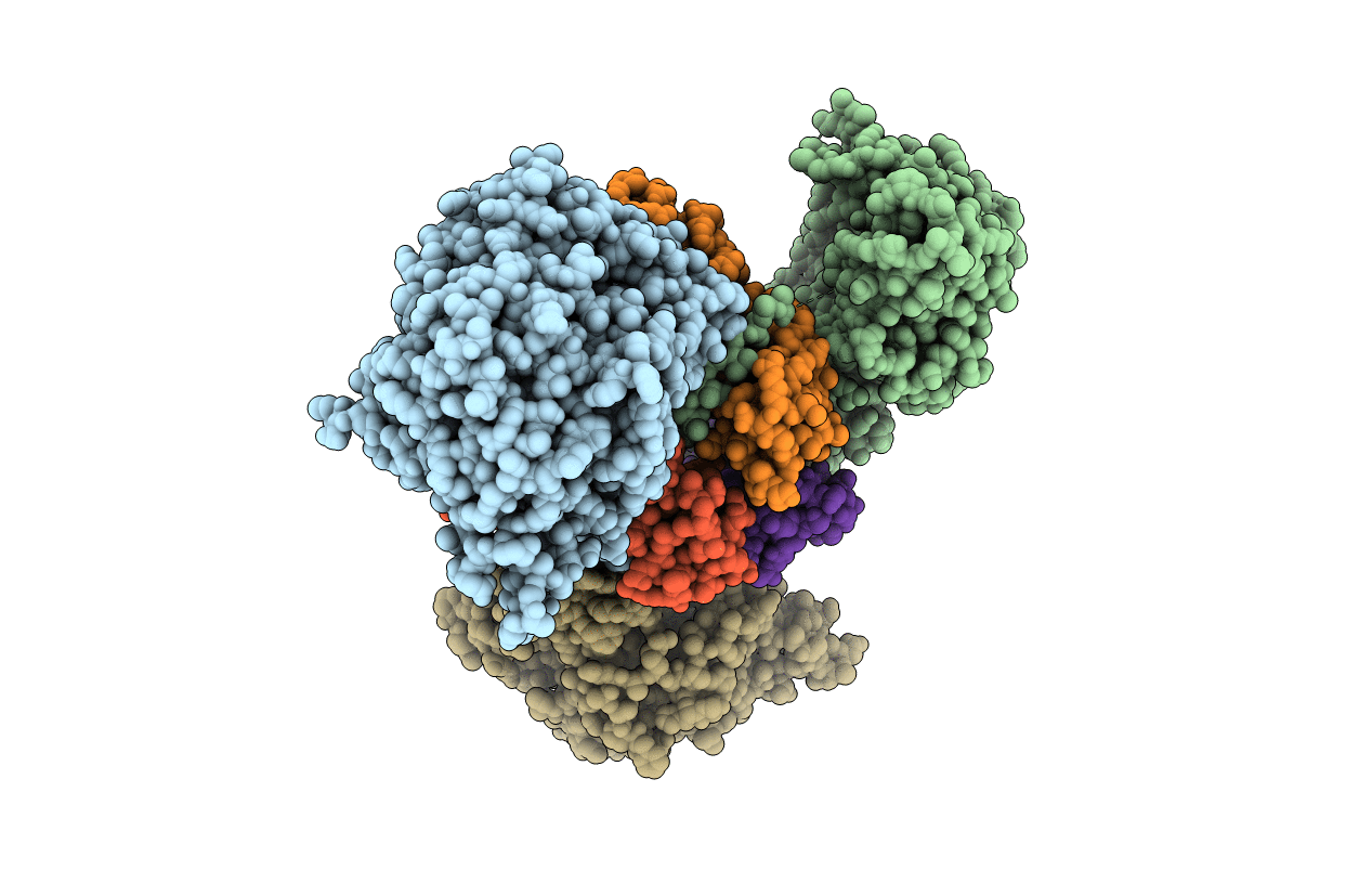 5YXY image