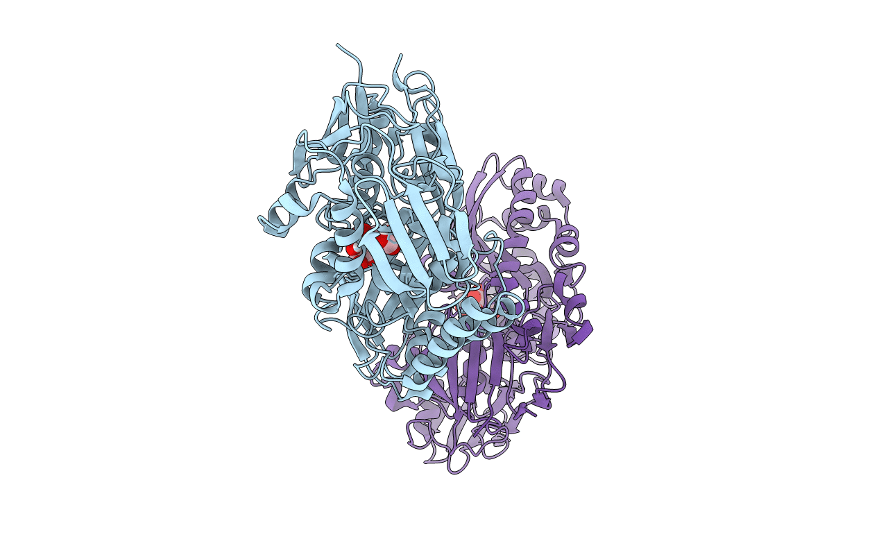 5YYB image