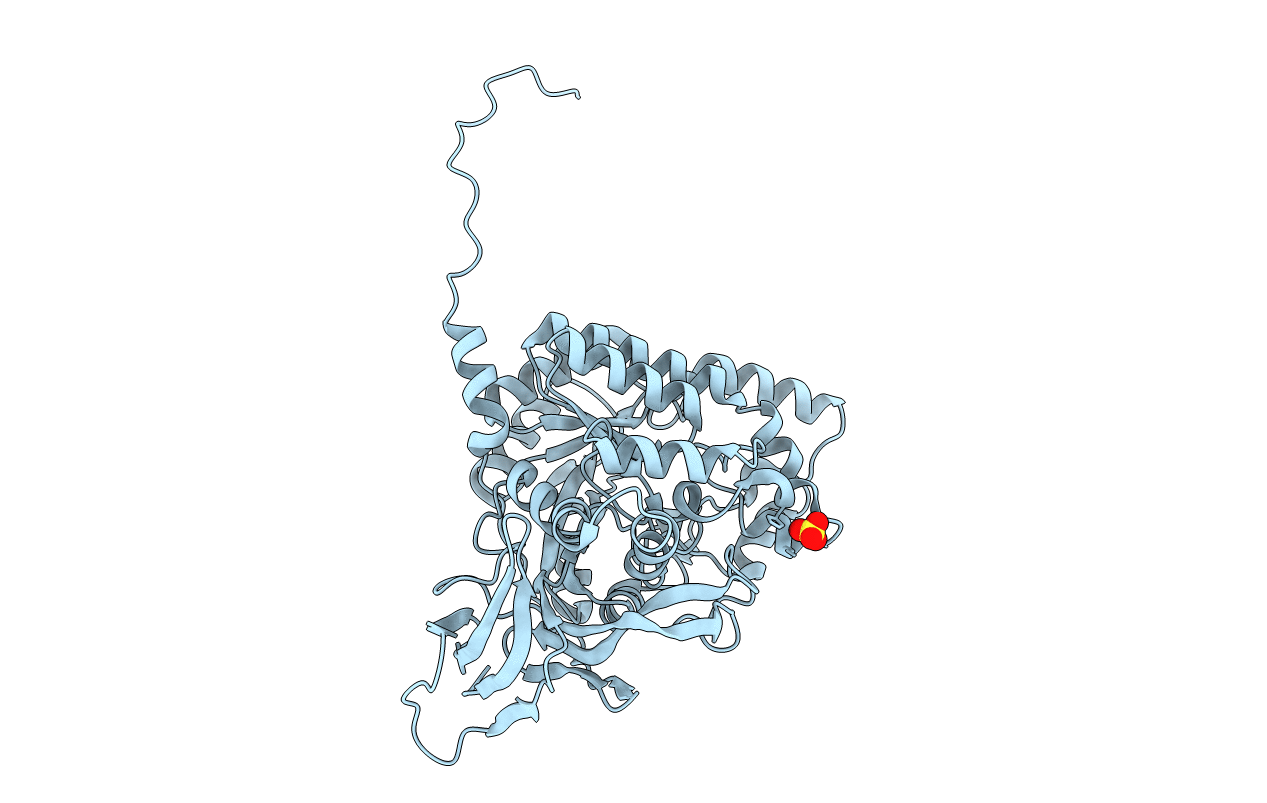 5YZ5 image