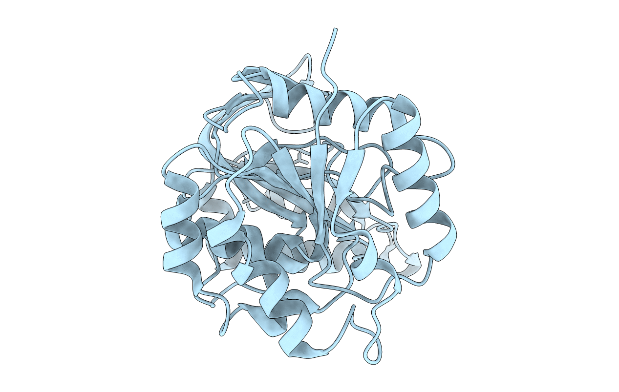 5Z01 image