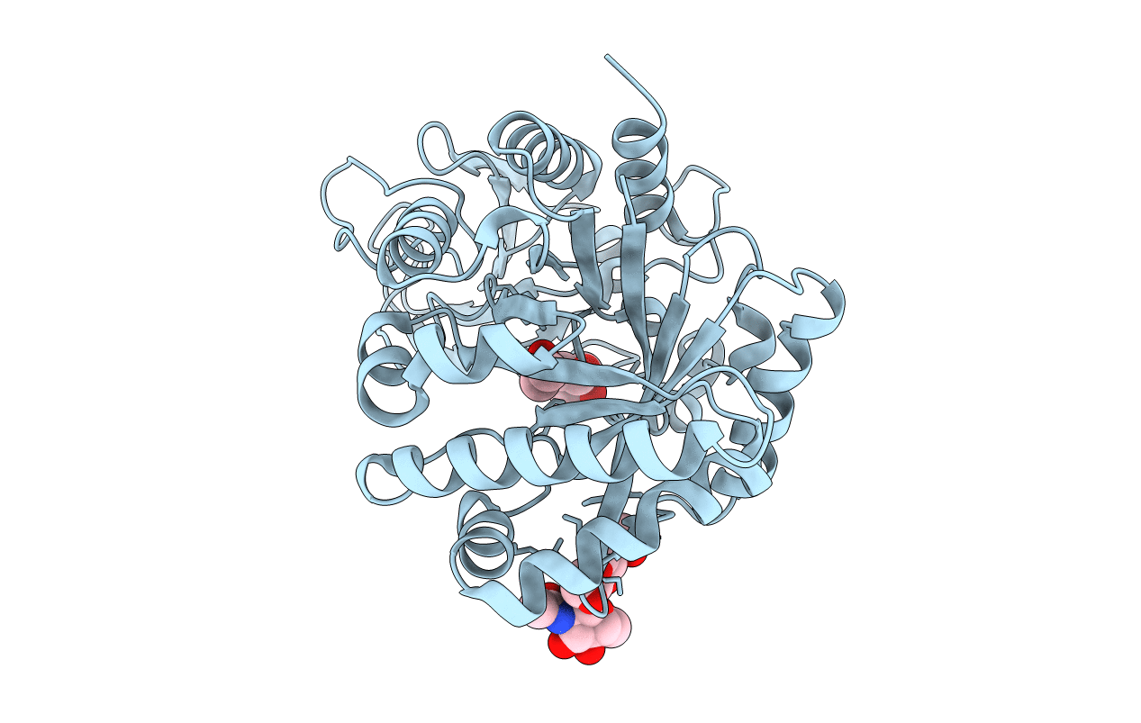 5Z05 image