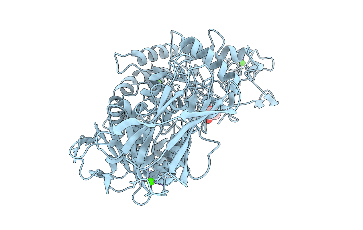 5Z0U image