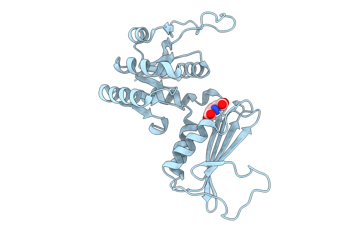 5Z2E image
