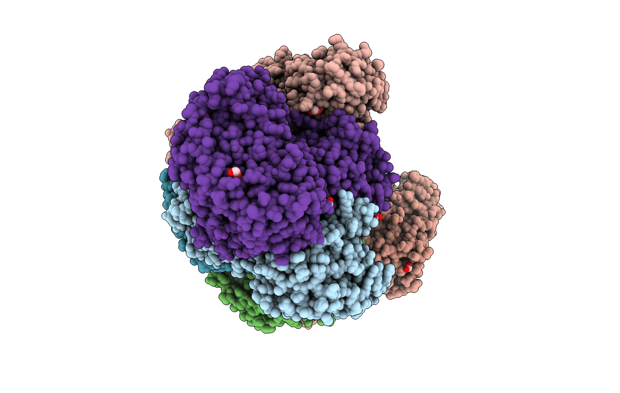 5Z2U image