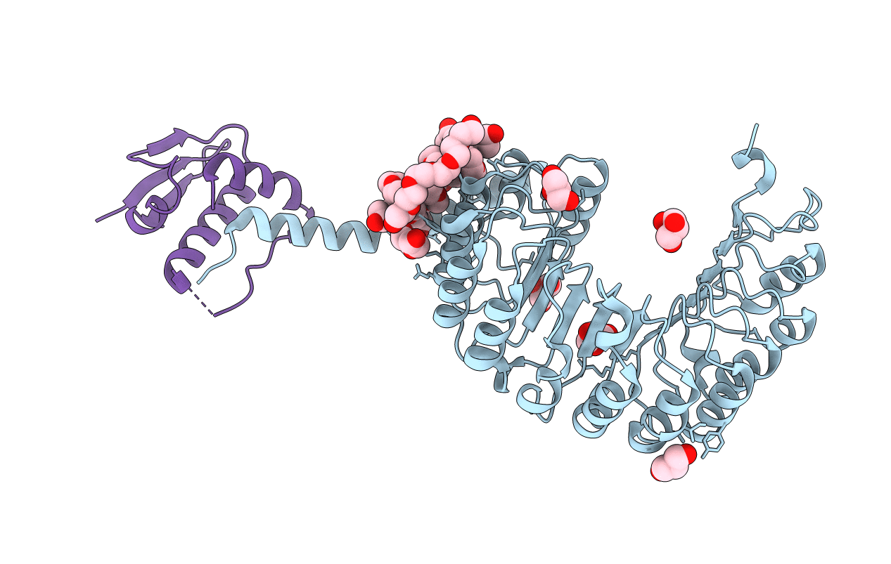 5ZB2 image