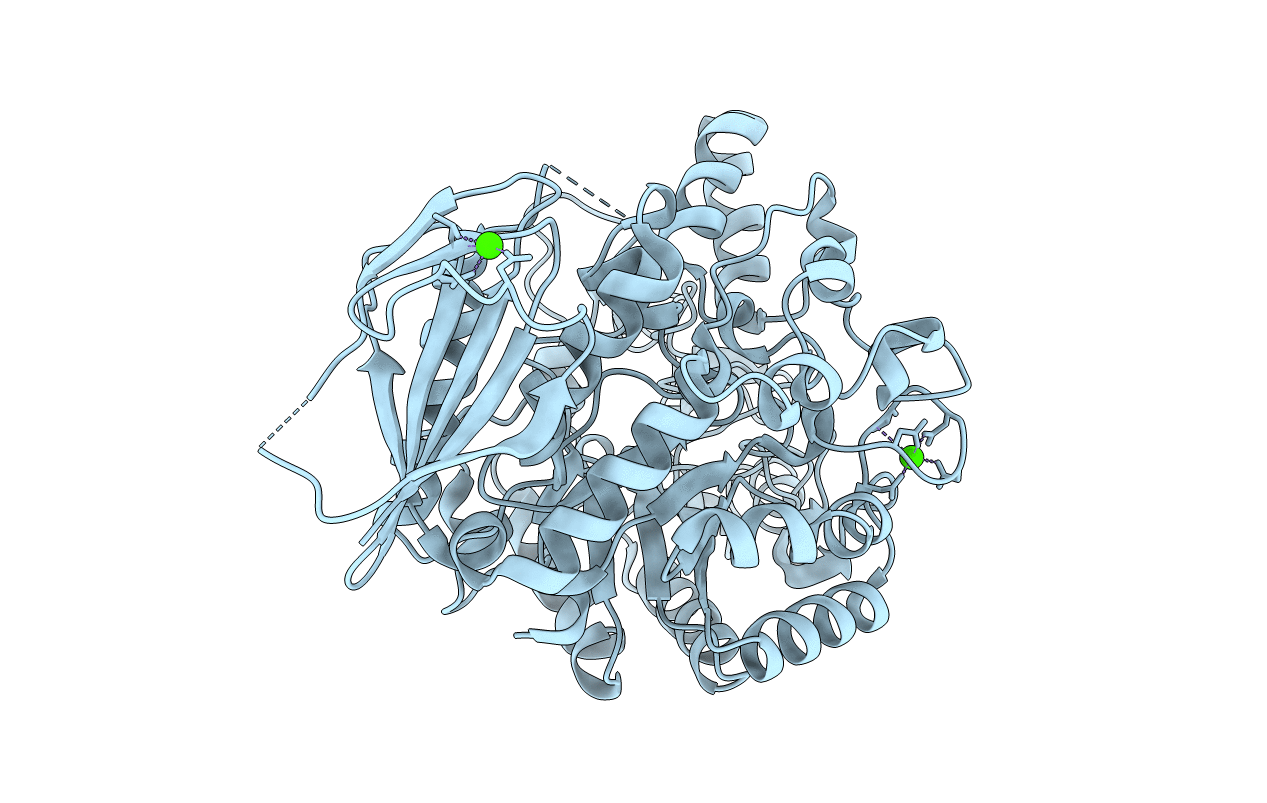 5ZCB image