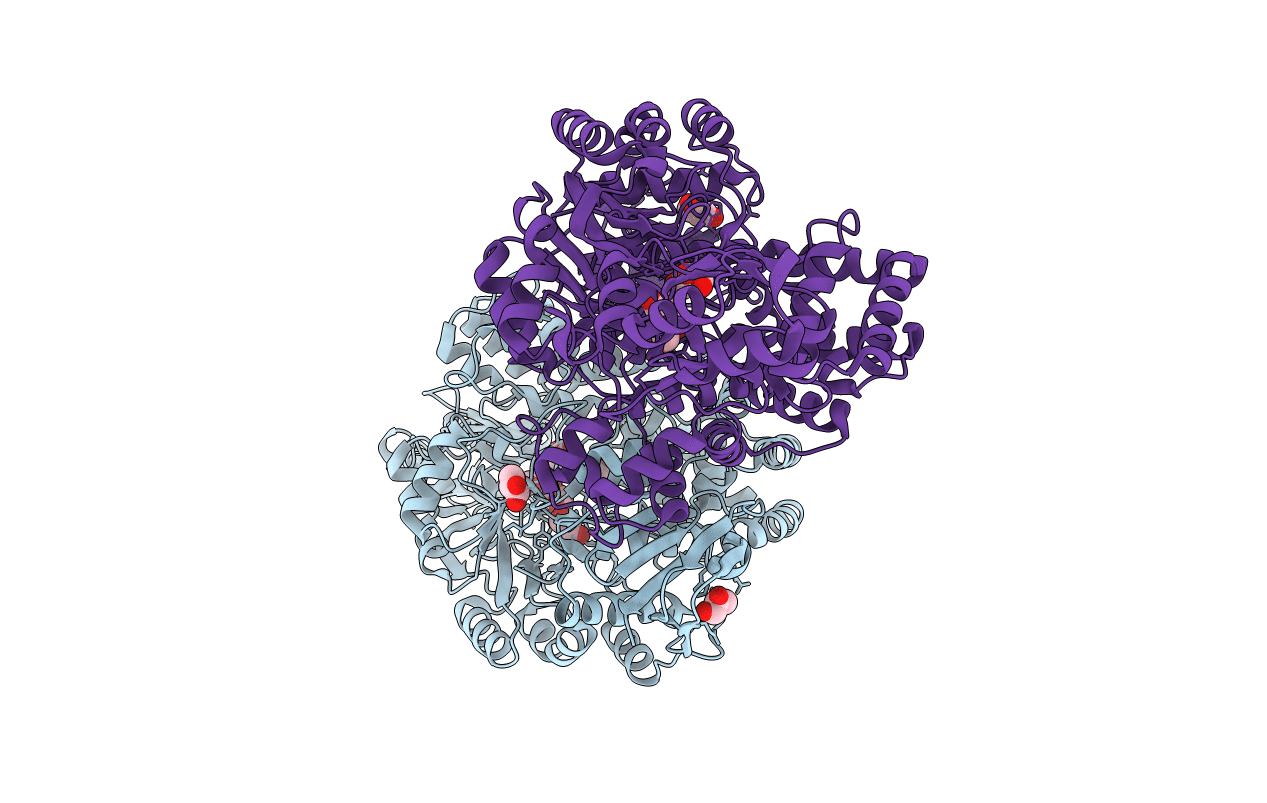 5ZCR image