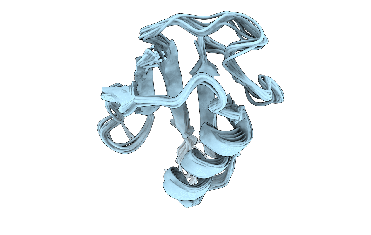 5ZEW image