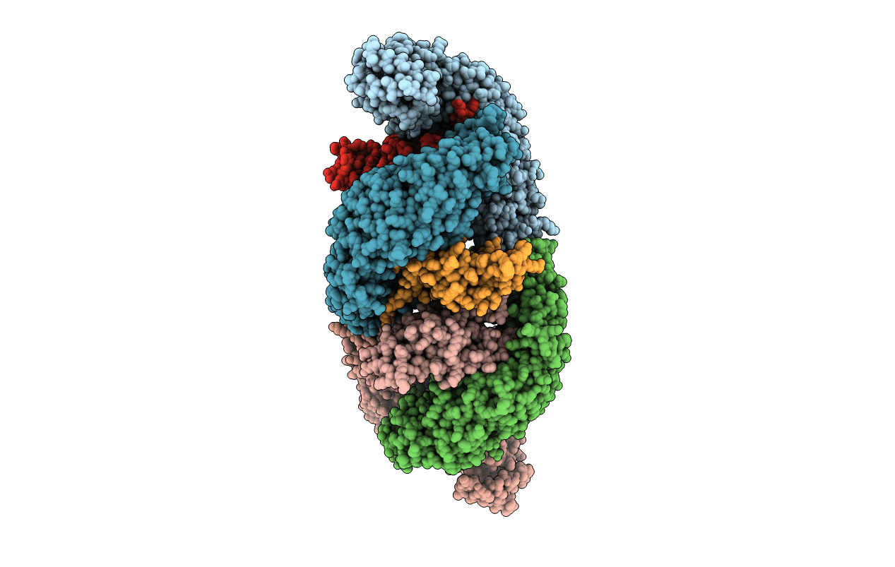 5ZHX image