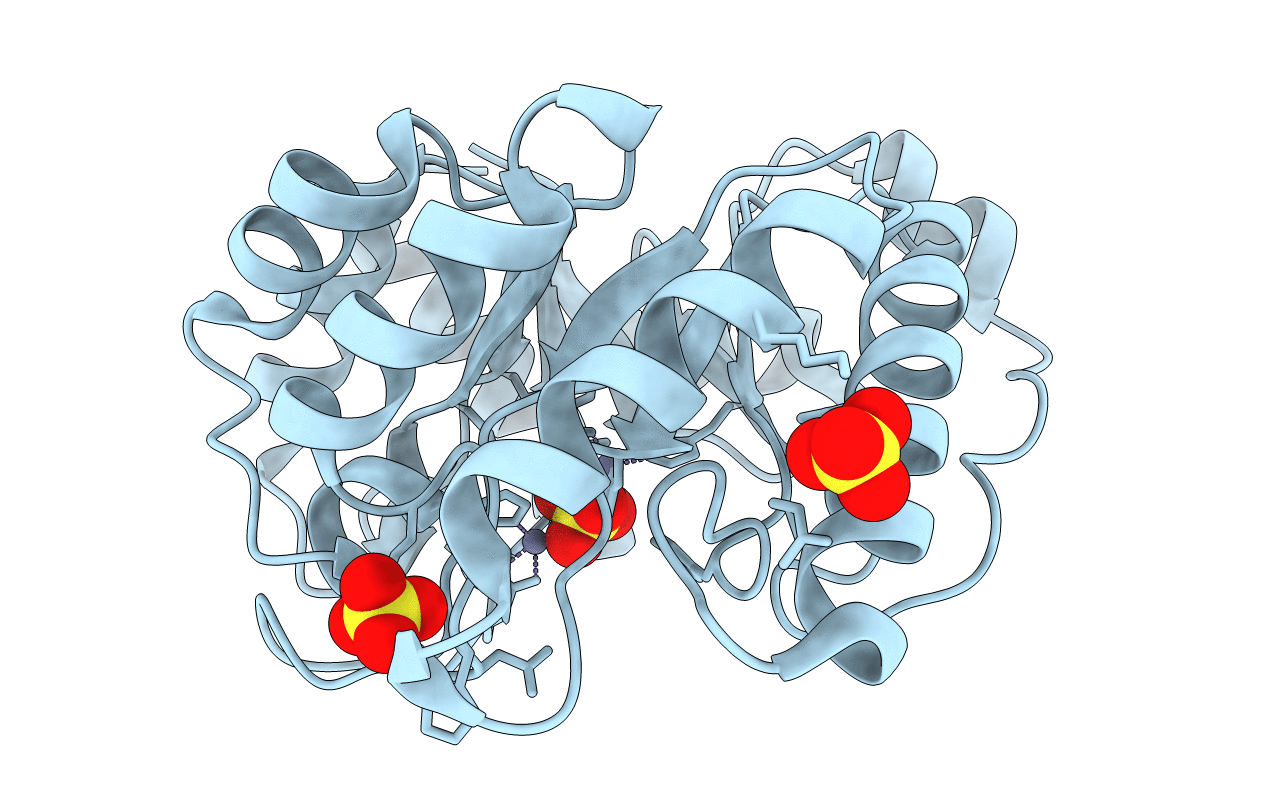 5ZHZ image