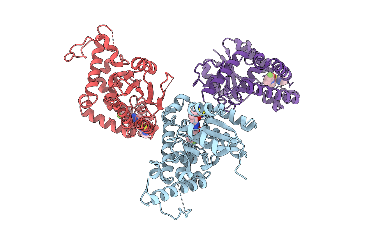 5ZMA image