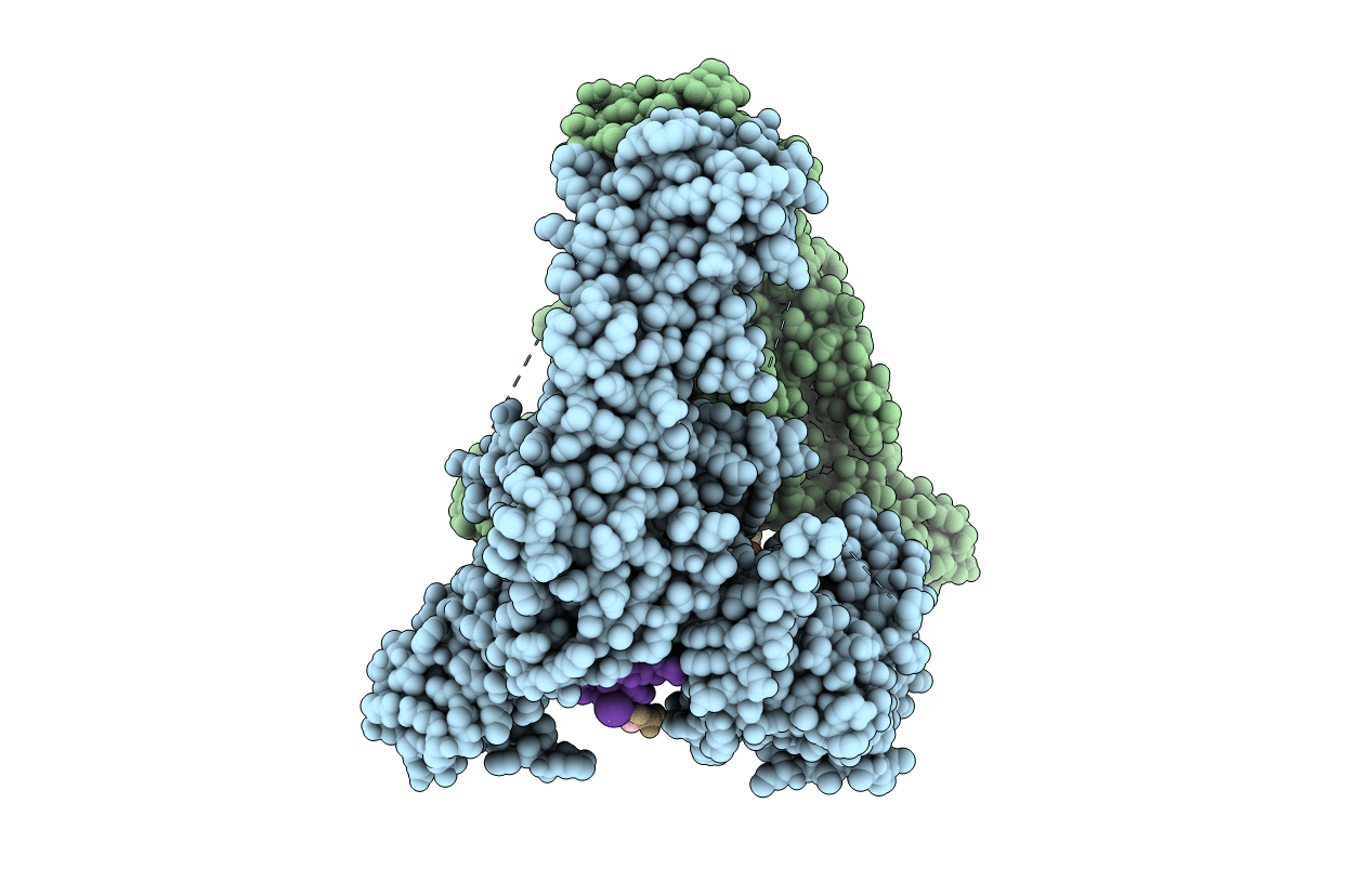 5ZRF image