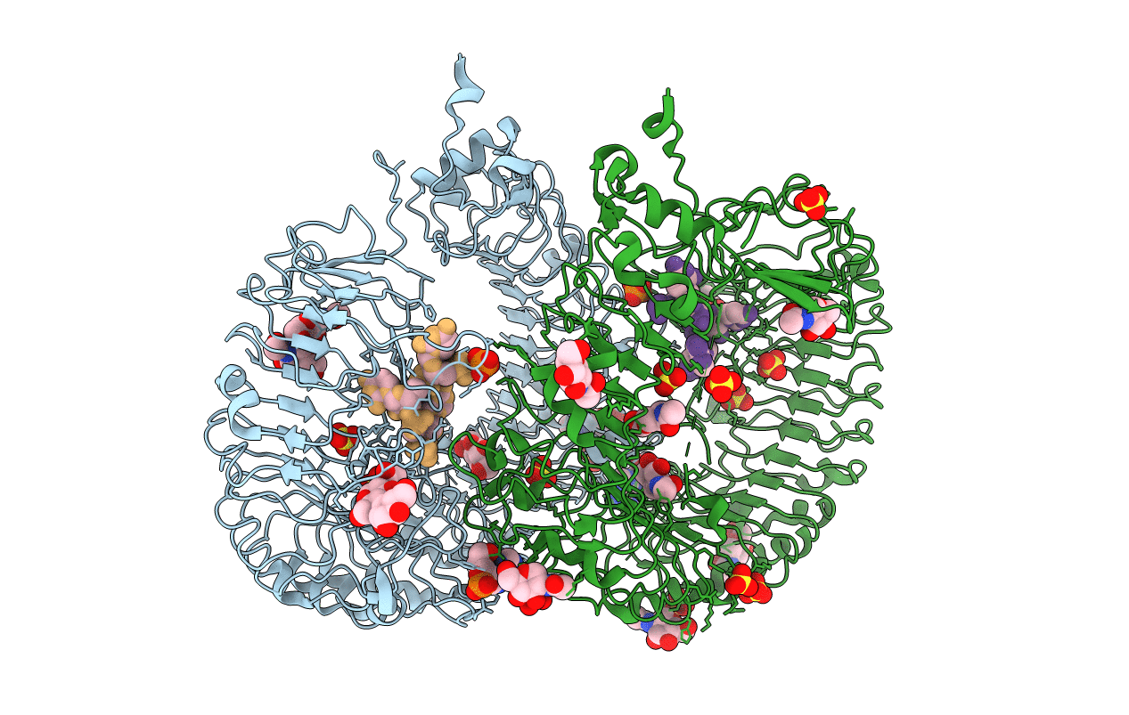 5ZSN image