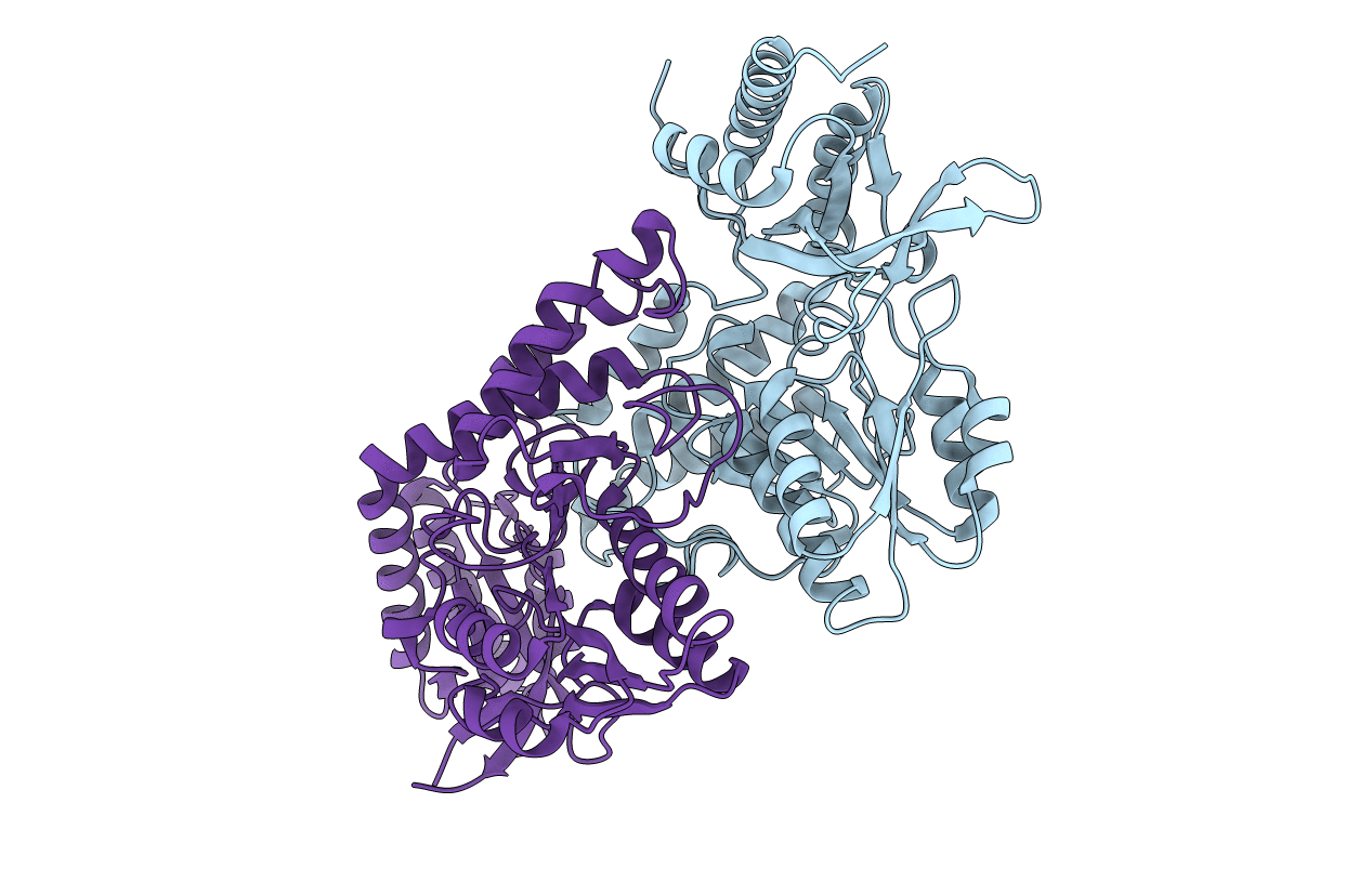 5ZSP image