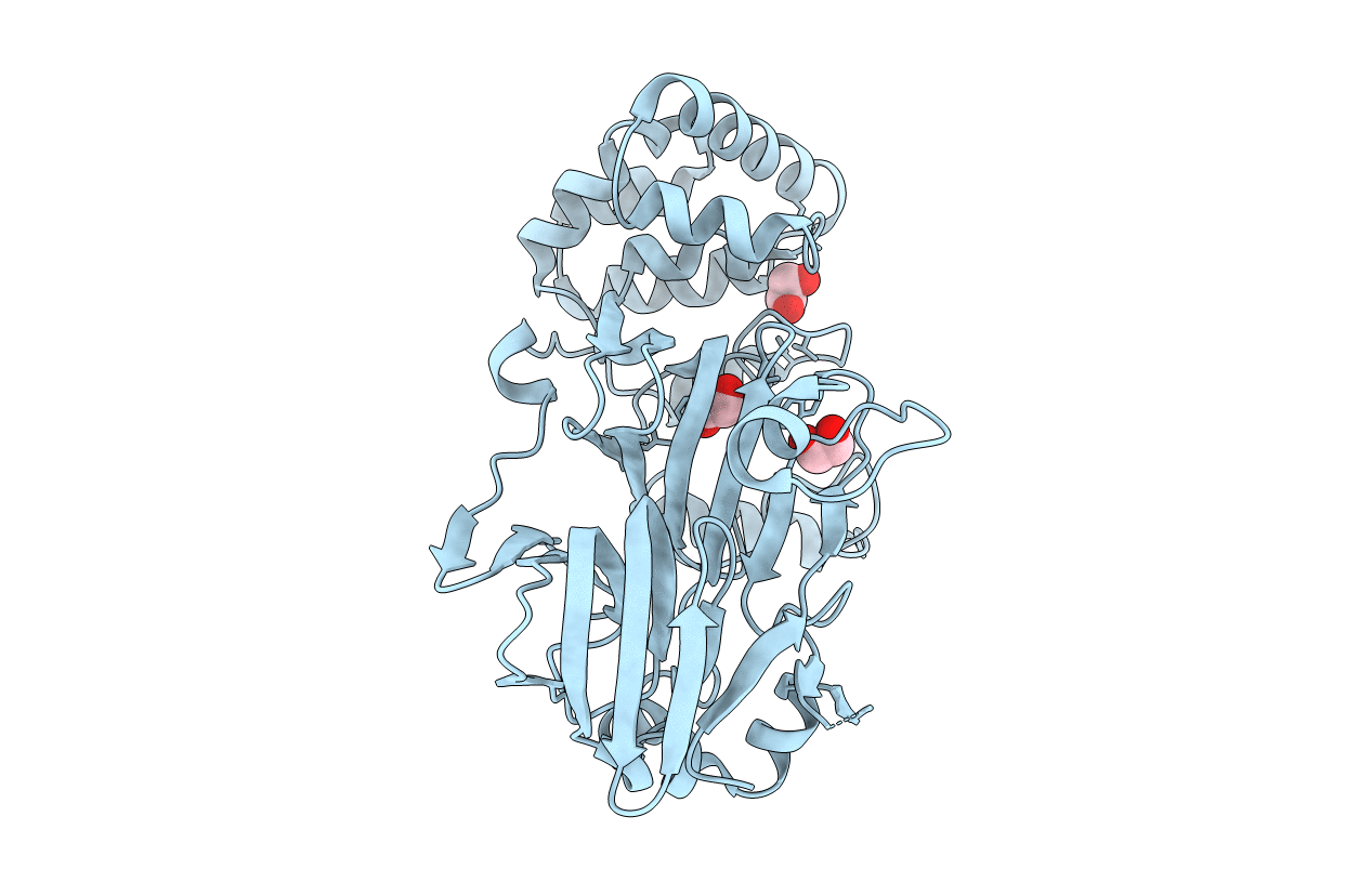 5ZT6 image
