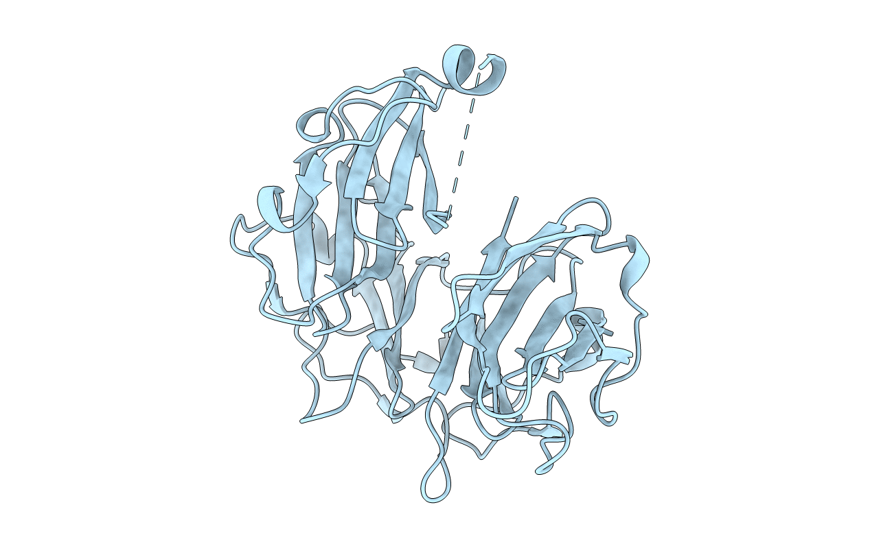 5ZTJ image